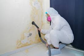 Best Commercial Mold Inspection in Kenton, OH